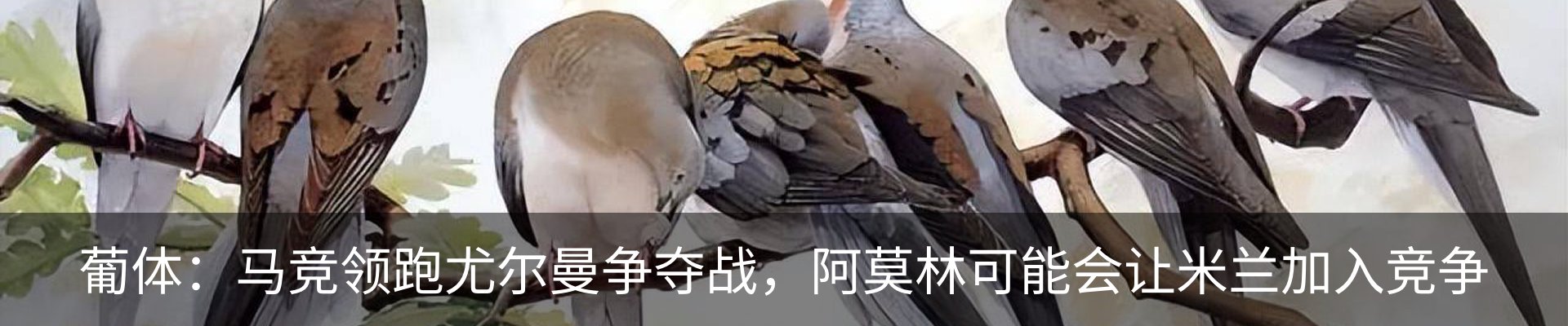 新闻中心
